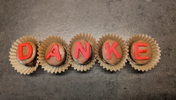 Plätzchen mit Buchstaben aus Zuckergussschrift zusammengelegt zu dem Wort "Danke"