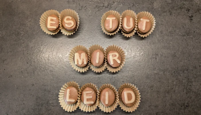 Plätzchen mit Buchstaben aus Zuckergussschrift zusammengelegt zu dem Satz "Es tut mir leid"